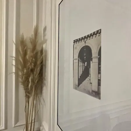 Superbe T2 Cosy à 5 Min Du Louvres Appartement Paris